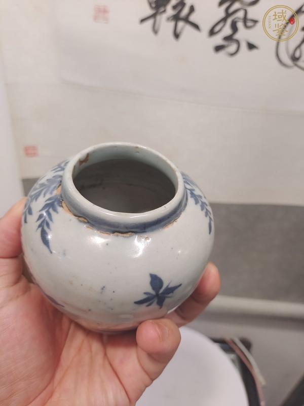 古玩陶瓷明晚期青花花卉紋罐真品鑒賞圖