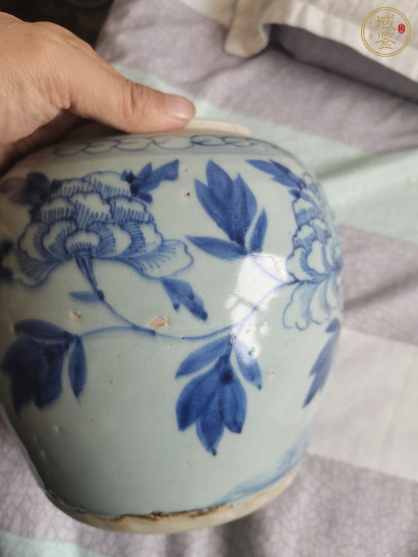 古玩陶瓷青花牡丹花紋罐真品鑒賞圖