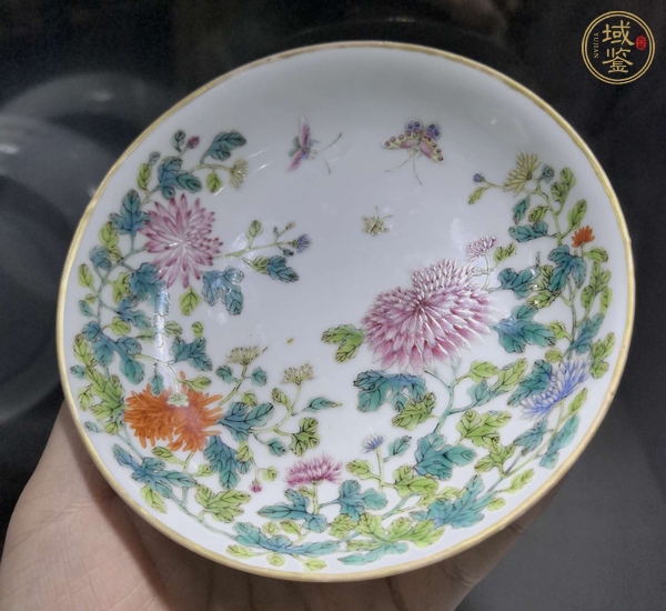 古玩陶瓷粉彩蝶戀花紋小盤真品鑒賞圖