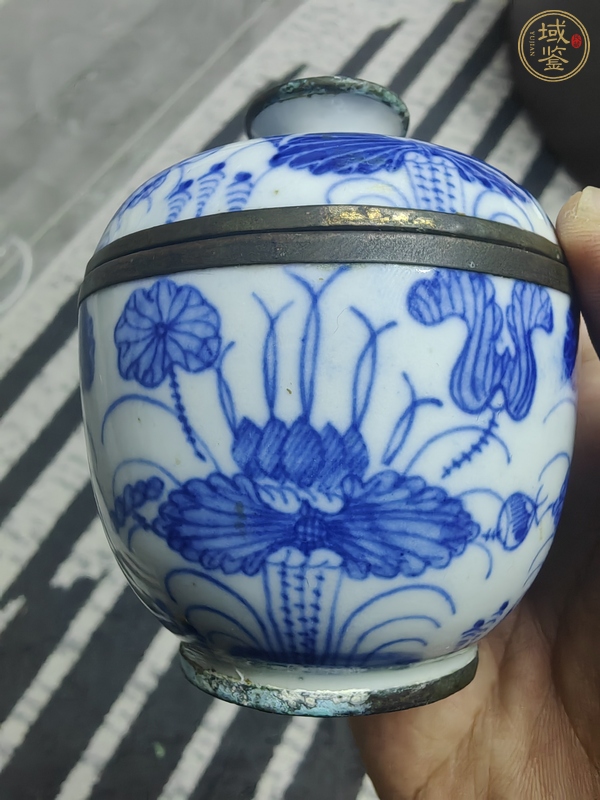 古玩陶瓷青花荷花紋蓋罐真品鑒賞圖