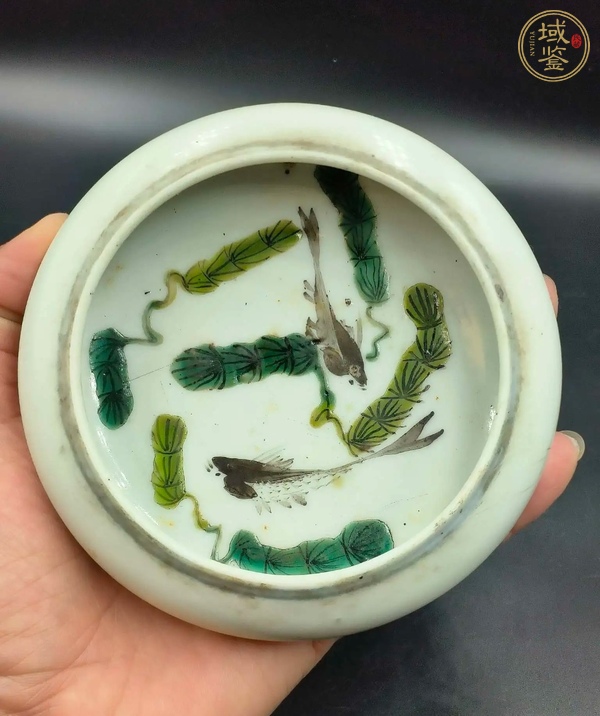 古玩陶瓷素三彩魚(yú)藻紋鏜鑼洗真品鑒賞圖