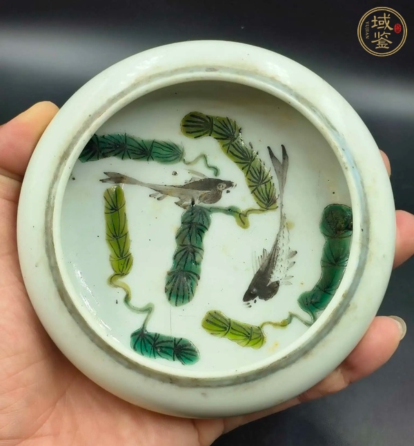 古玩陶瓷素三彩魚(yú)藻紋鏜鑼洗真品鑒賞圖