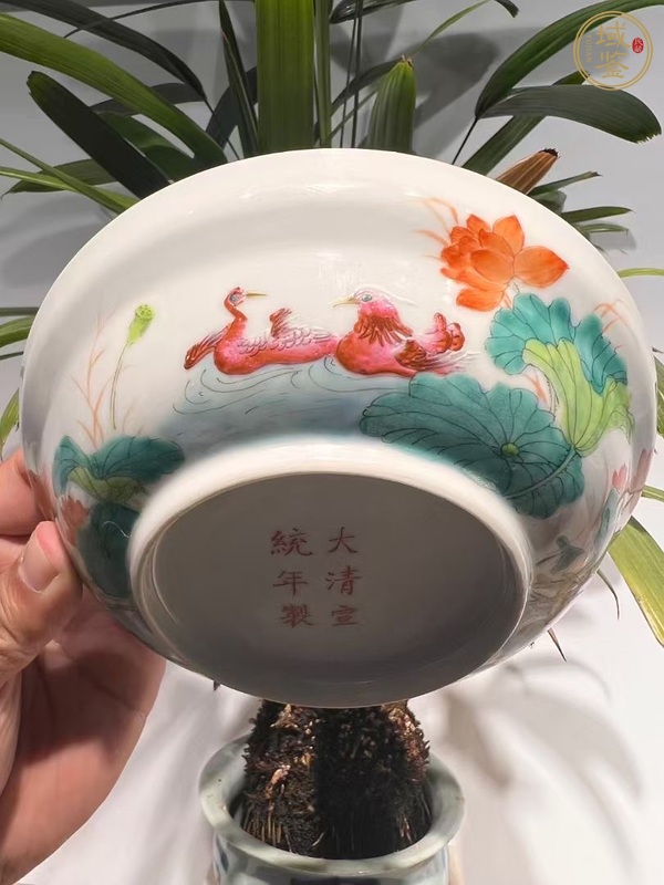 古玩陶瓷粉彩蓮池鴛鴦蓋碗真品鑒賞圖