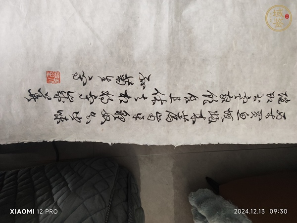 古玩字畫(huà)孫菊生《貓魚(yú)圖》真品鑒賞圖