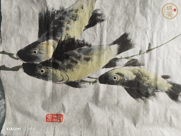 古玩字畫孫菊生《貓魚圖》真品鑒賞圖