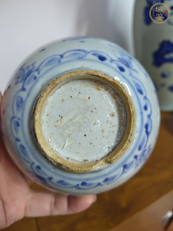 古玩陶瓷青花海馬紋茶碗真品鑒賞圖