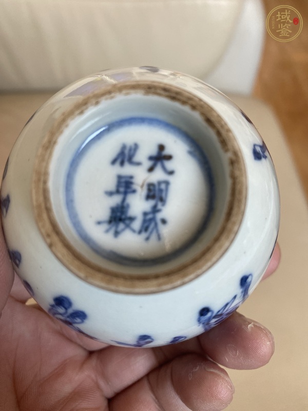 古玩陶瓷馬紋青花杯真品鑒賞圖