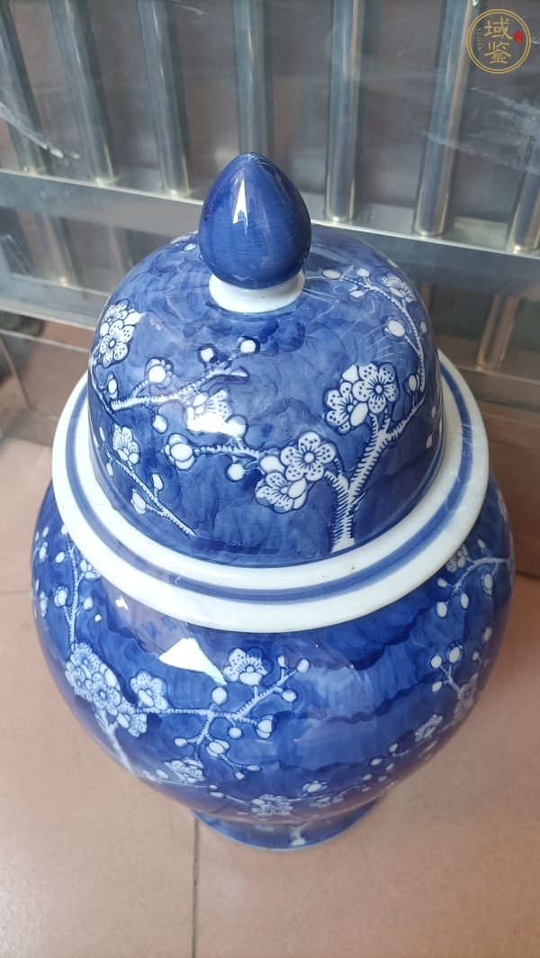 古玩陶瓷青花冰梅圖蓋罐真品鑒賞圖