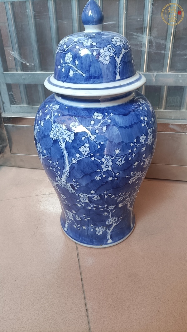 古玩陶瓷青花冰梅圖蓋罐真品鑒賞圖