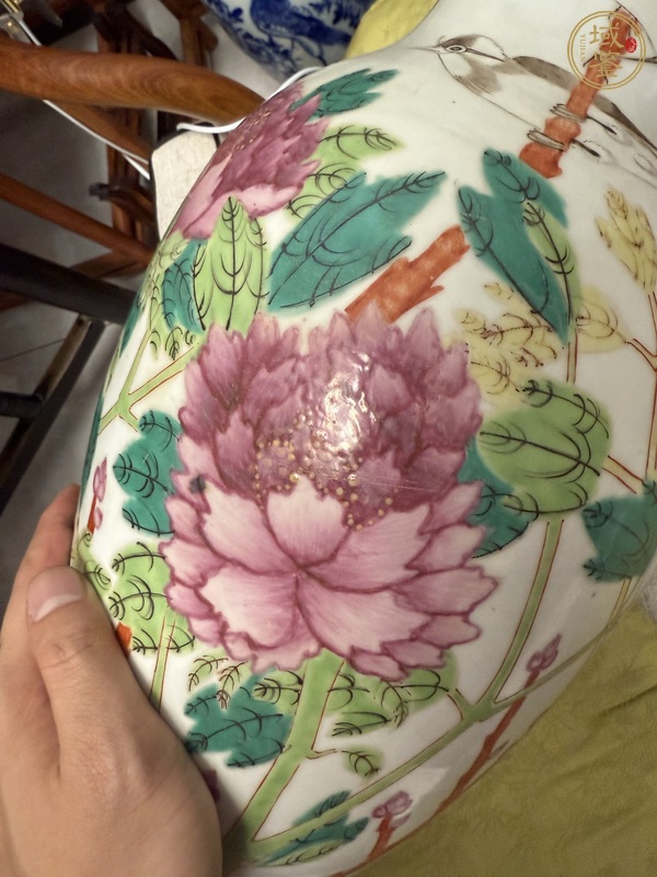 古玩陶瓷粉彩花鳥紋賞瓶真品鑒賞圖