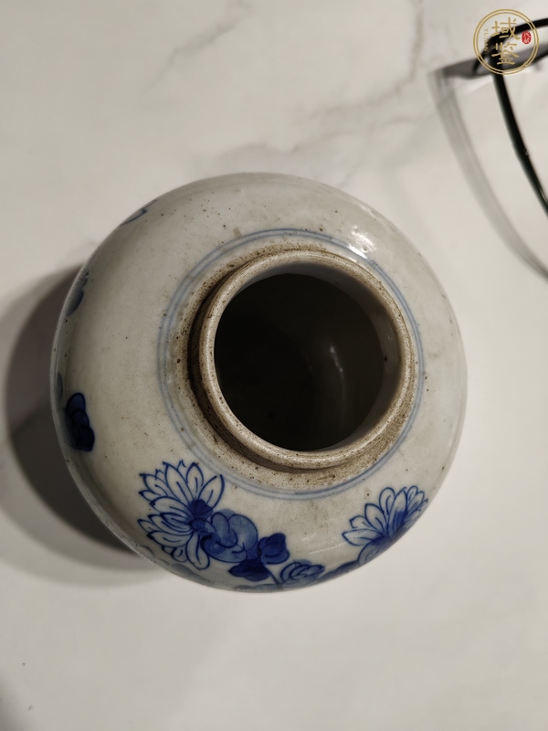 古玩陶瓷花卉紋青花罐真品鑒賞圖