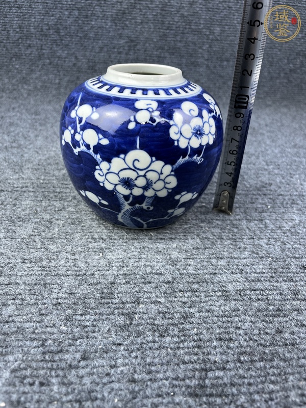 古玩陶瓷青花留白冰梅罐真品鑒賞圖