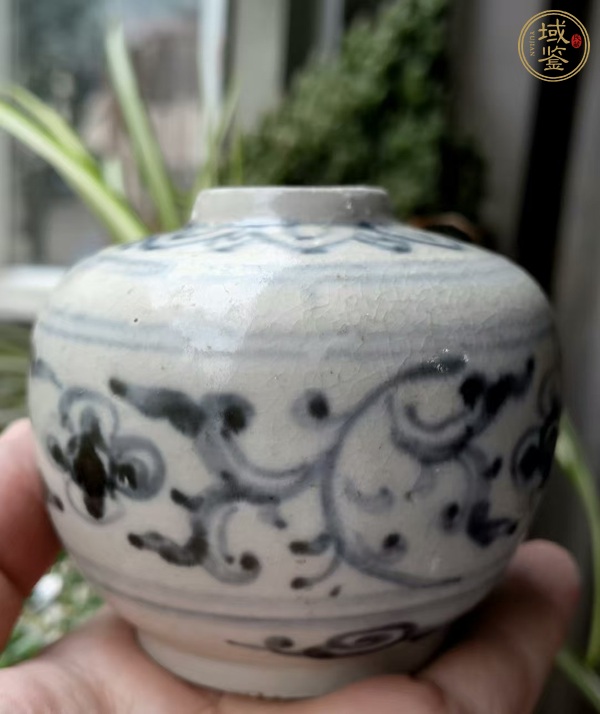 古玩陶瓷明早期安南窯青花花卉紋水盂真品鑒賞圖