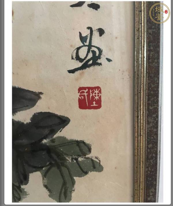 古玩字畫陳青青花卉真品鑒賞圖