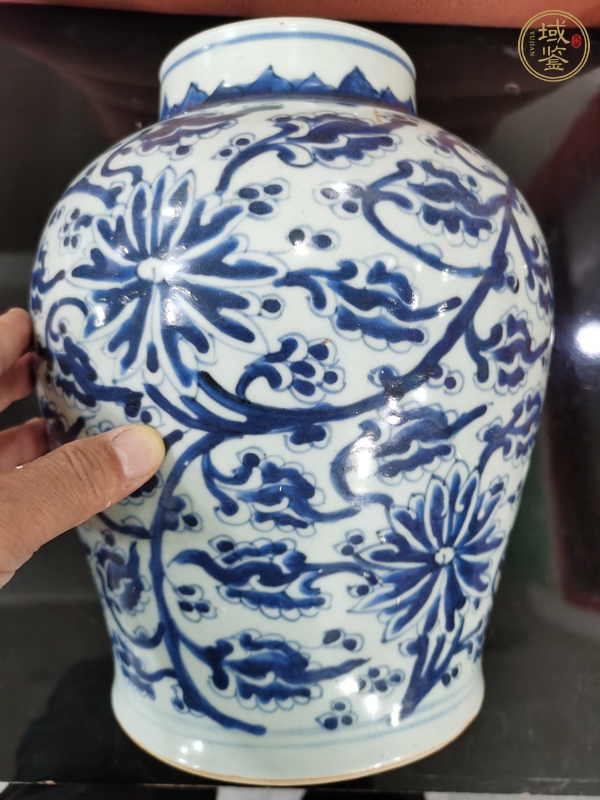 古玩陶瓷青花將軍罐真品鑒賞圖