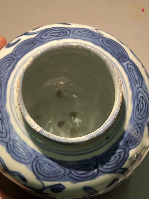 古玩陶瓷獅紋青花罐真品鑒賞圖