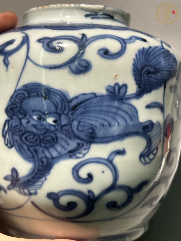 古玩陶瓷獅紋青花罐真品鑒賞圖