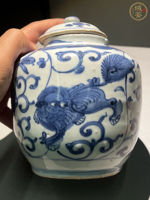 古玩陶瓷獅紋青花罐真品鑒賞圖