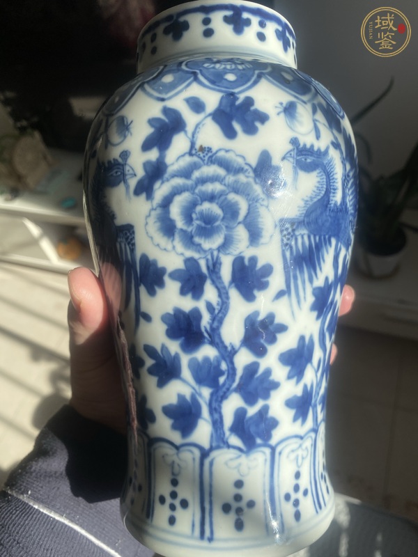 古玩陶瓷花鳥紋青花雞腿瓶真品鑒賞圖