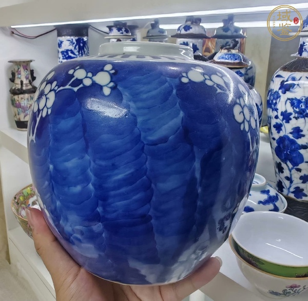 古玩陶瓷青花罐真品鑒賞圖