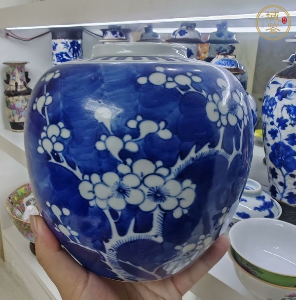 古玩陶瓷青花罐真品鑒賞圖