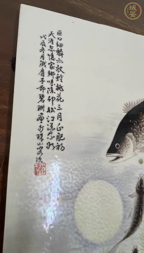 古玩陶瓷淺降彩魚藻紋真品鑒賞圖