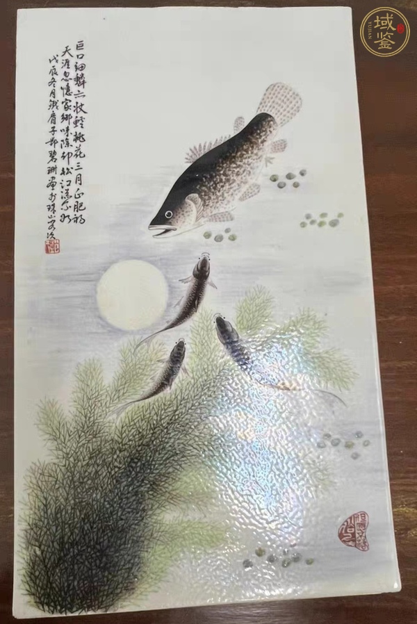 古玩陶瓷淺降彩魚藻紋真品鑒賞圖