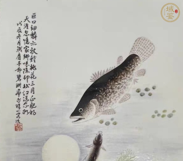 古玩陶瓷淺降彩魚藻紋真品鑒賞圖