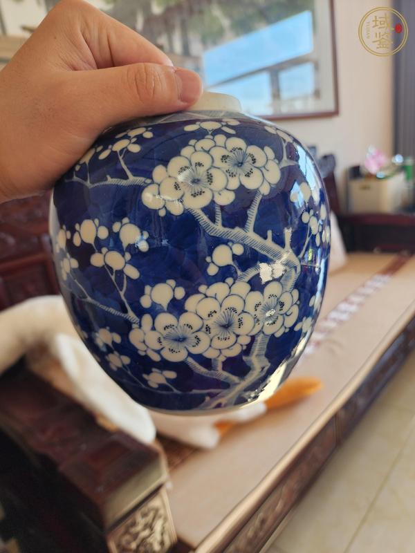 古玩陶瓷細(xì)路青花冰梅罐真品鑒賞圖