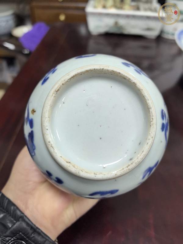 古玩陶瓷青花龍紋膽瓶真品鑒賞圖