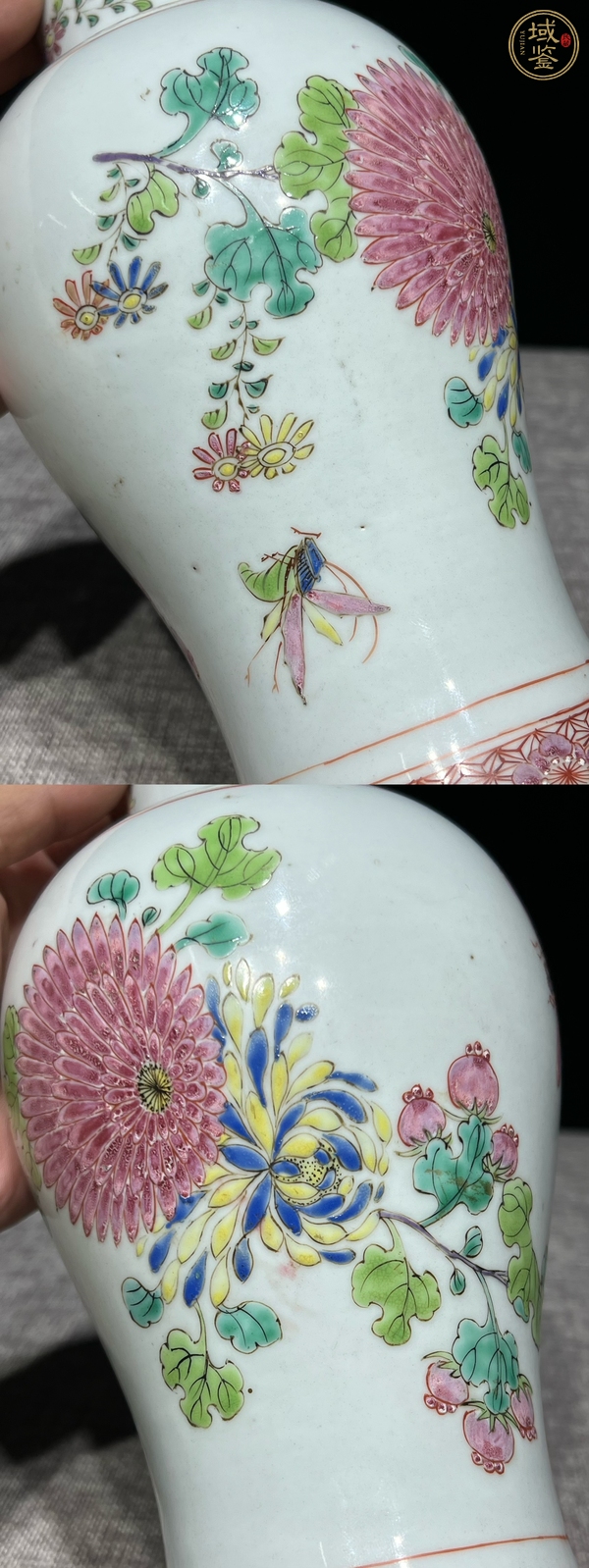 古玩陶瓷蟲草紋粉彩雞腿瓶真品鑒賞圖