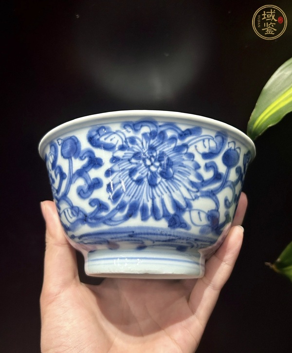 古玩康熙·青花纏枝菊花紋碗真品鑒賞圖