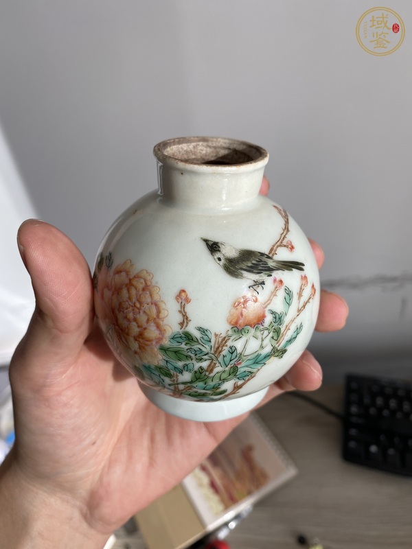 古玩陶瓷粉彩花鳥罐真品鑒賞圖