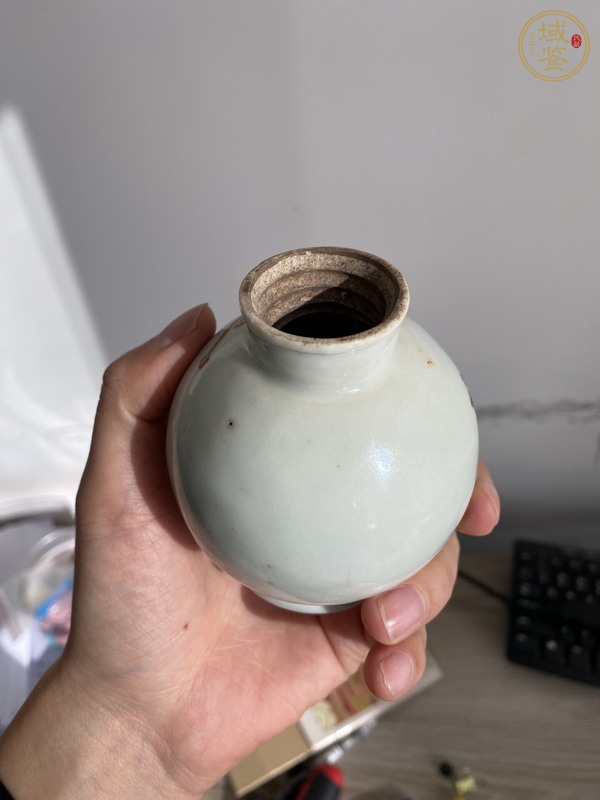 古玩陶瓷粉彩花鳥罐真品鑒賞圖