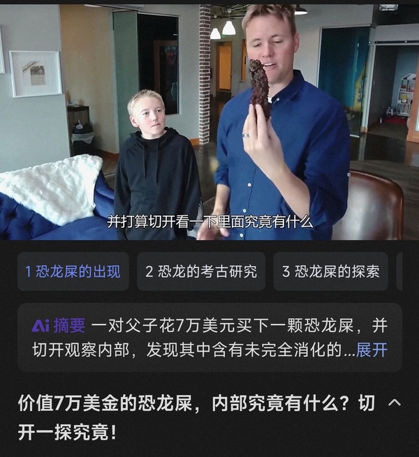 古玩雜項(xiàng)恐龍糞便hua石(來(lái)自幾百萬(wàn)年前) 你見(jiàn)龍屎?jiǎn)幔颗馁u,當(dāng)前價(jià)格0元