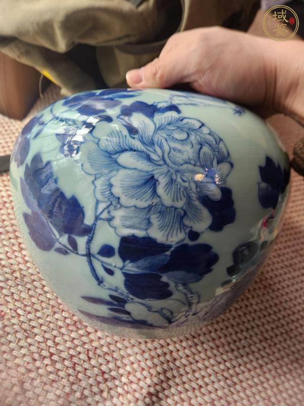 古玩陶瓷豆青釉青花花鳥紋西瓜罐真品鑒賞圖