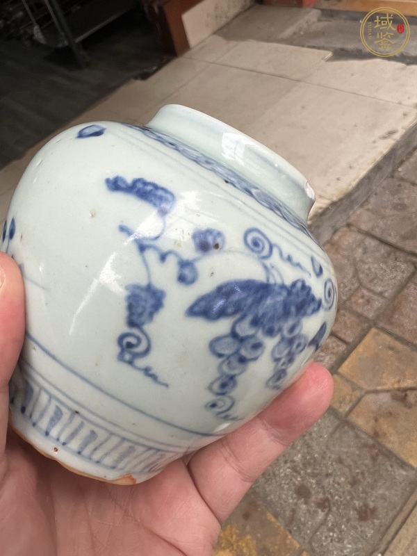 古玩陶瓷青花葡萄紋蓋罐真品鑒賞圖