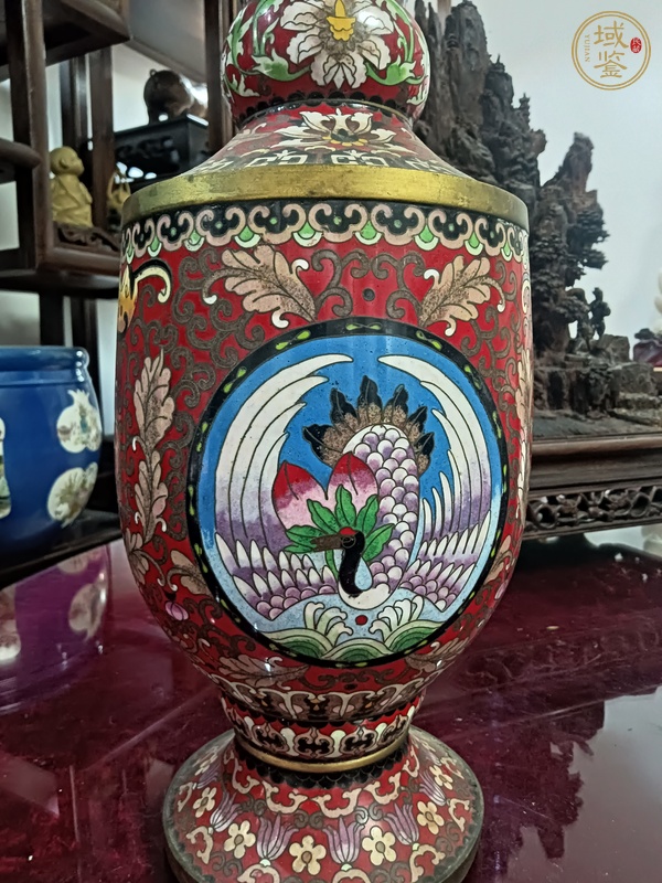 古玩陶瓷景泰蘭花卉團(tuán)鳳紋瓶真品鑒賞圖