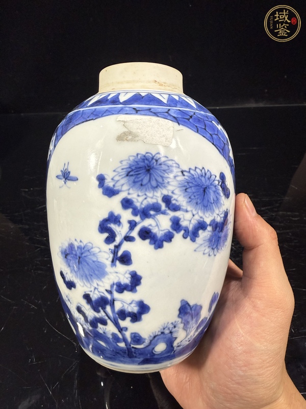 古玩陶瓷青花罐真品鑒賞圖