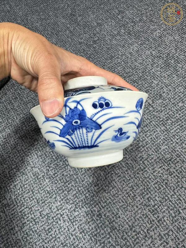 古玩蓮池游禽滿池嬌青花蓋碗真品鑒賞圖