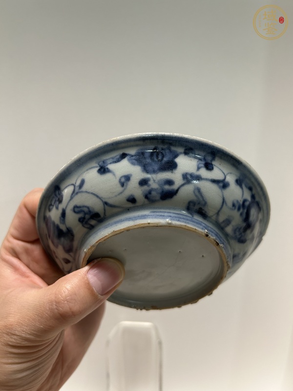 古玩陶瓷百鳥朝鳳青花盤真品鑒賞圖