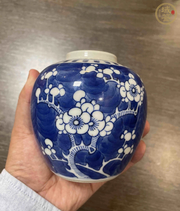 古玩陶瓷青花留白冰梅紋罐真品鑒賞圖