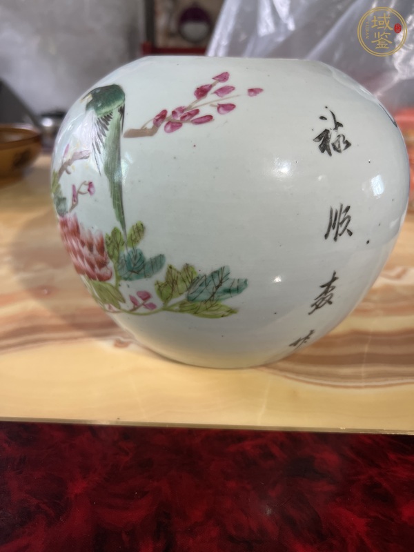 古玩陶瓷淺降油彩花鳥紋罐真品鑒賞圖