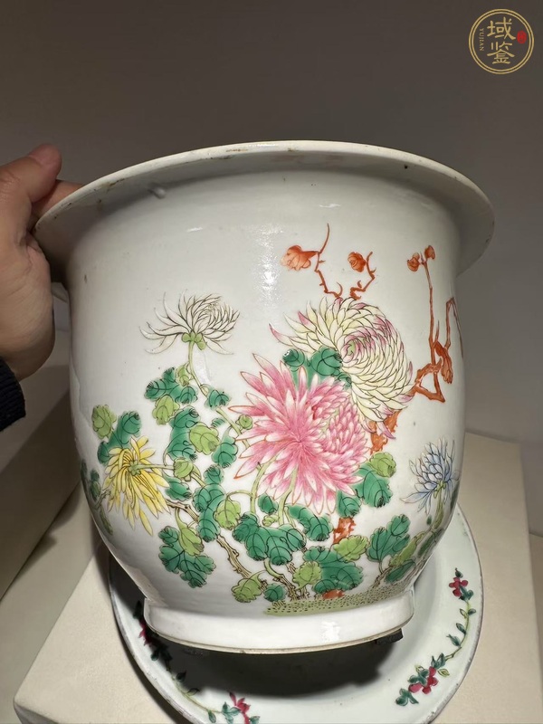 古玩陶瓷粉彩花卉紋花盆真品鑒賞圖