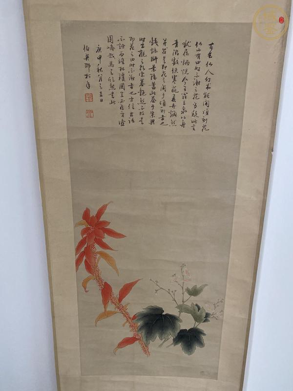 古玩字畫四時不謝之花真品鑒賞圖