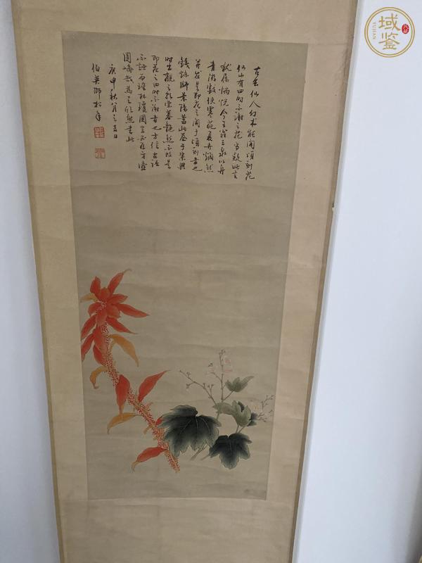 古玩字畫四時不謝之花真品鑒賞圖