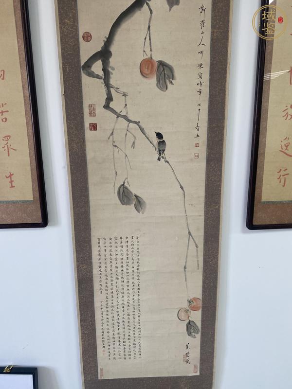 古玩字畫華嵒款花鳥畫真品鑒賞圖