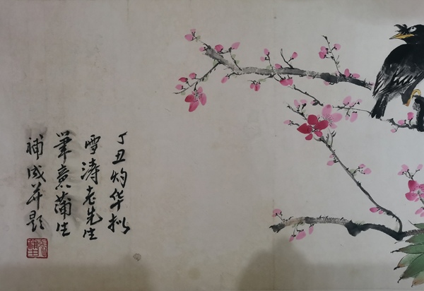 古玩字畫已故天津美院教授白洋淀詩書畫院首任院長張蒲生花鳥拍賣，當(dāng)前價(jià)格1288元