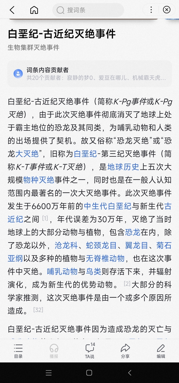 古玩雜項6000萬年前.鯊魚ya齒hua石(已滅絕)拍賣，當前價格0元