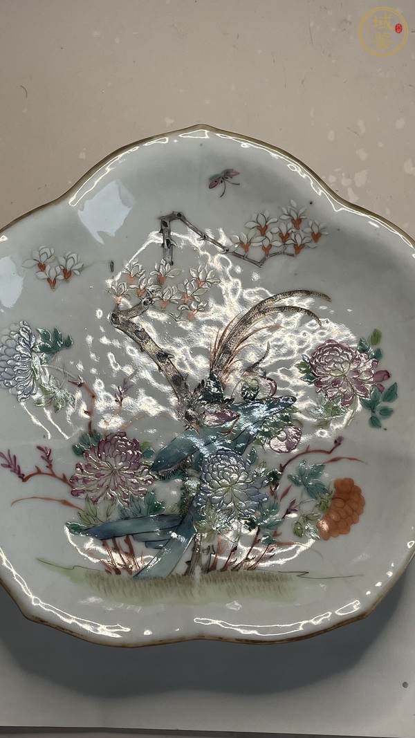 古玩陶瓷清晚期粉彩花鳥紋菱口盤真品鑒賞圖